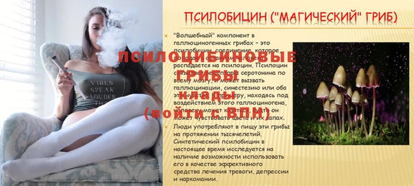 экстази Сатка