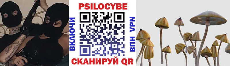 Галлюциногенные грибы Psilocybine cubensis  Сатка 